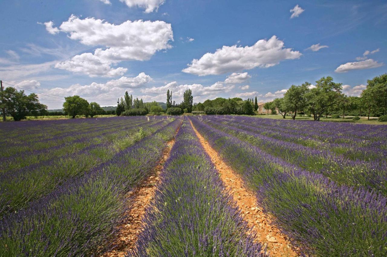 Gites Dans Mas En Pierres Robion en Luberon Εξωτερικό φωτογραφία